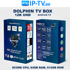 Buy Dolphin Pro Android Tv Box | 64GB RAM 512GB ROM IP TV in Dubai UAE